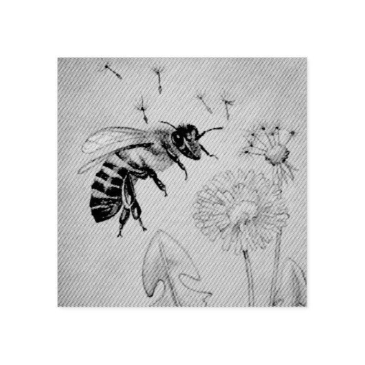  bijen nr. 4 Dandelion Waterverf Art. Rubberstempel (Afrduk)