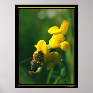 Bijen ontbijt poster