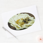 Bijen op Bloem Sticker (Envelop)