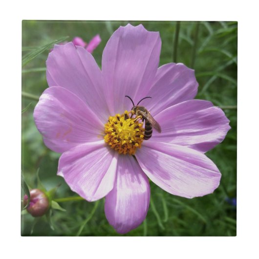 bijen op bloem tegeltje (Voorkant)
