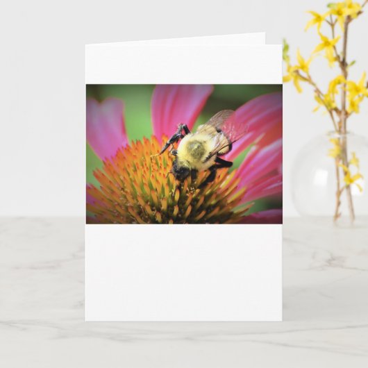 Bijen op Conefloer, kaart (Gele Bloem)