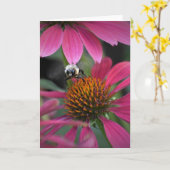Bijen op Conefloer, kaart (Gele Bloem)