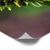 Bijen op Conefloer Poster (Hoek)