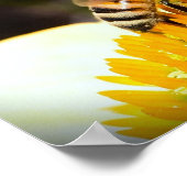 Bijen op Coneflower, Poster (Hoek)