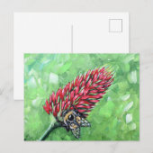 Bijen op Crimson Clover Schilderen Briefkaart (Voorkant / Achterkant)