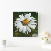 Bijen op Daisy Alaskan Summer Natuur Foto Vierkante Klok (Huis)