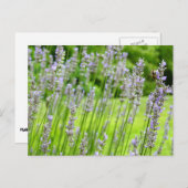 Bijen op de Lavender Summer Floral Briefkaart (Voorkant / Achterkant)