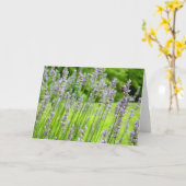 Bijen op de Lavender Summer Floral Kaart (Gele Bloem)