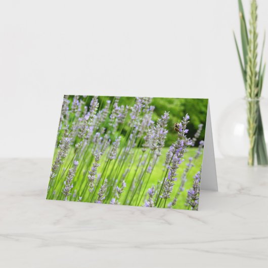 Bijen op de Lavender Summer Floral Kaart (Voorkant)