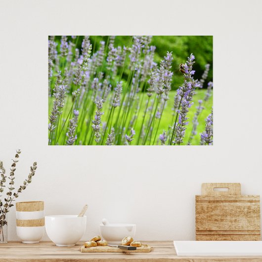 Bijen op de Lavender Summer Floral Poster (Keuken)