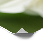 Bijen op de ventilator poster (Hoek)