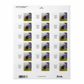 Bijen op een blauwe Tansy Etiket (Full Sheet)