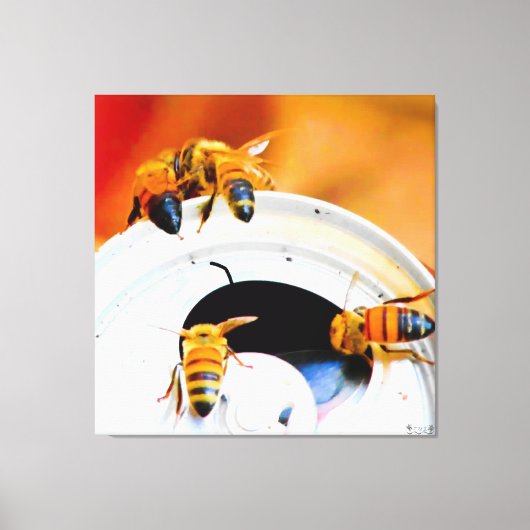 Bijen op een blikje frisdrank canvas afdruk (Voorkant)
