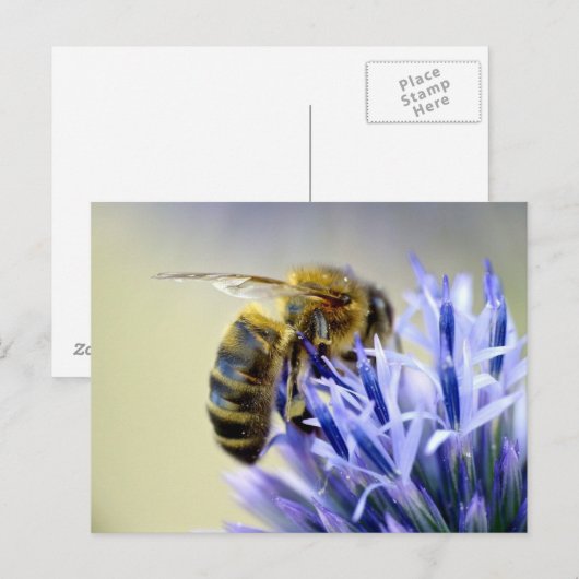 Bijen op een bloem briefkaart (Voorkant / Achterkant)