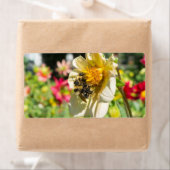 Bijen op een bloem etiket (Insitu)