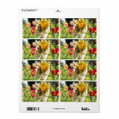 Bijen op een bloem etiket (Full Sheet)