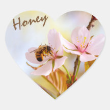 Bijen op een Cherry Flower