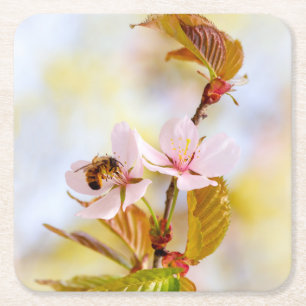 Bijen op een Cherry Flower Kartonnen Onderzetters