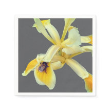 Bijen op een gele bloem
