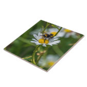 Bijen op een madeliefje uitzichten keramische tege tegeltje (Zijkant)