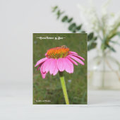 Bijen op een roze Coneflower Briefkaart (Staand voorkant)