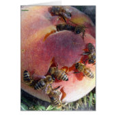 Bijen op een strand (Voorkant)