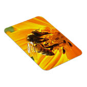 Bijen op een ventilator magneet (Rechterzijde)