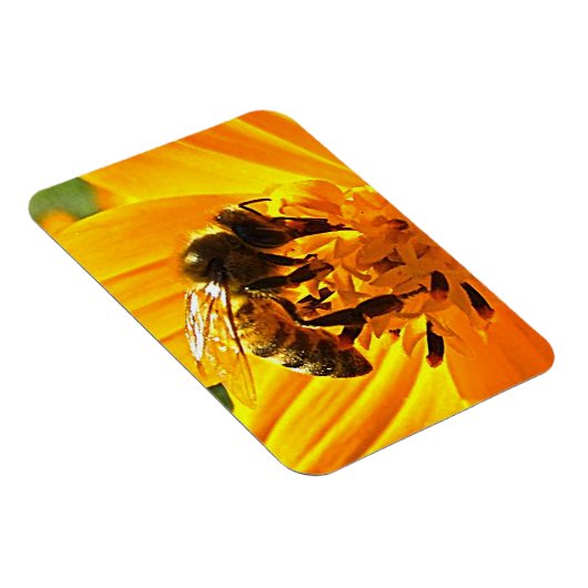 Bijen op een ventilator magneet (Rechterzijde)