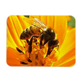 Bijen op een ventilator magneet (Horizontaal)