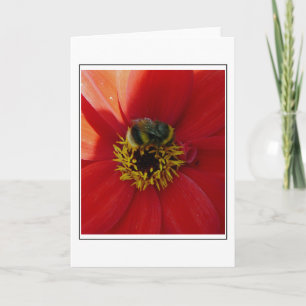 Bijen op een wenskaart met rode bloemen kaart