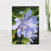 Bijen op een Wild Blu Kaart (Voorkant)