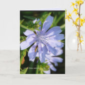 Bijen op een Wild Blu Kaart (Gele Bloem)