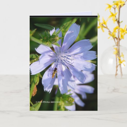 Bijen op een Wild Blu Kaart (Gele Bloem)