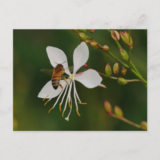 Bijen op Flower Briefkaart