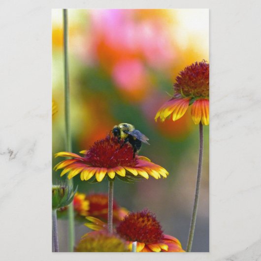 Bijen op Gaillardia Briefpapier (Voorkant)