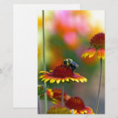 Bijen op Gaillardia Briefpapier (Voorkant / Achterkant)