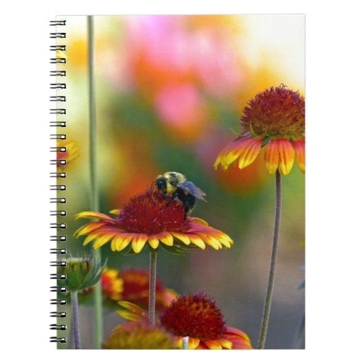 Bijen op Gaillardia Notitieboek (Voorkant)
