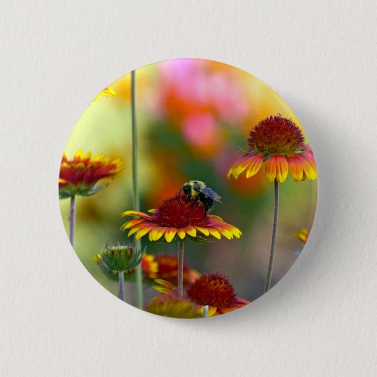 Bijen op Gaillardia Ronde Button 5,7 Cm (Voorkant)