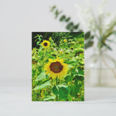 Bijen op gele zonnebloem briefkaart (Staand voorkant)