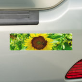 Bijen op gele zonnebloem bumpersticker (Op auto)