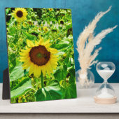 Bijen op gele zonnebloem fotoplaat (Zijkant)