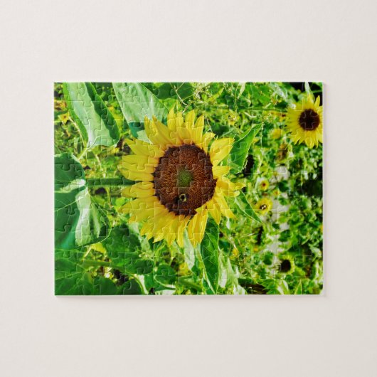 Bijen op gele zonnebloem legpuzzel (Horizontaal)