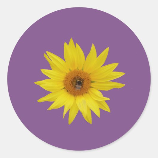 Bijen op gele zonnebloem met paarse achtergrond ronde sticker (Voorkant)