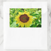Bijen op gele zonnebloem rechthoekige sticker (Tas)