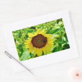 Bijen op gele zonnebloem rechthoekige sticker (Envelop)