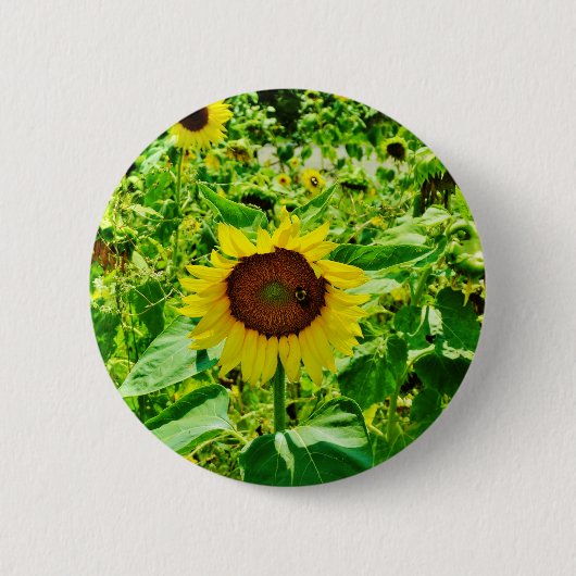 Bijen op gele zonnebloem ronde button 5,7 cm (Voorkant)
