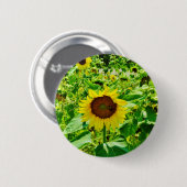 Bijen op gele zonnebloem ronde button 5,7 cm (Voorkant /achterkant)