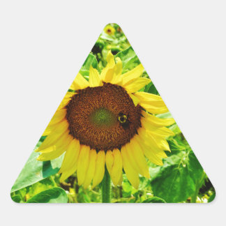 Bijen op gele zonnebloem sticker