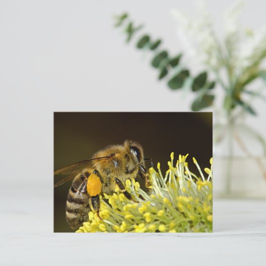 Bijen op het werk briefkaart (Staand voorkant)