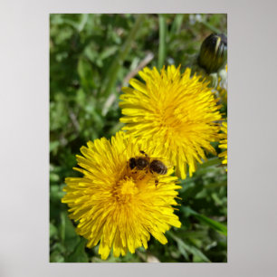 bijen op het werk poster